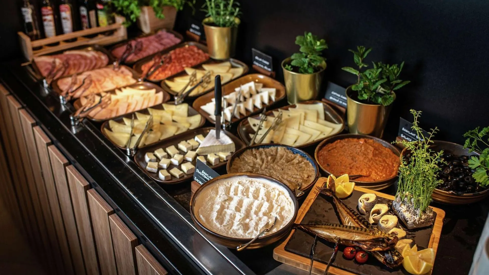 Hilton Garden Inn Bucharest Airport Otopeni Hotel